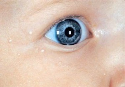 ������ ������� ���� �������������: �������� ������� � ������������