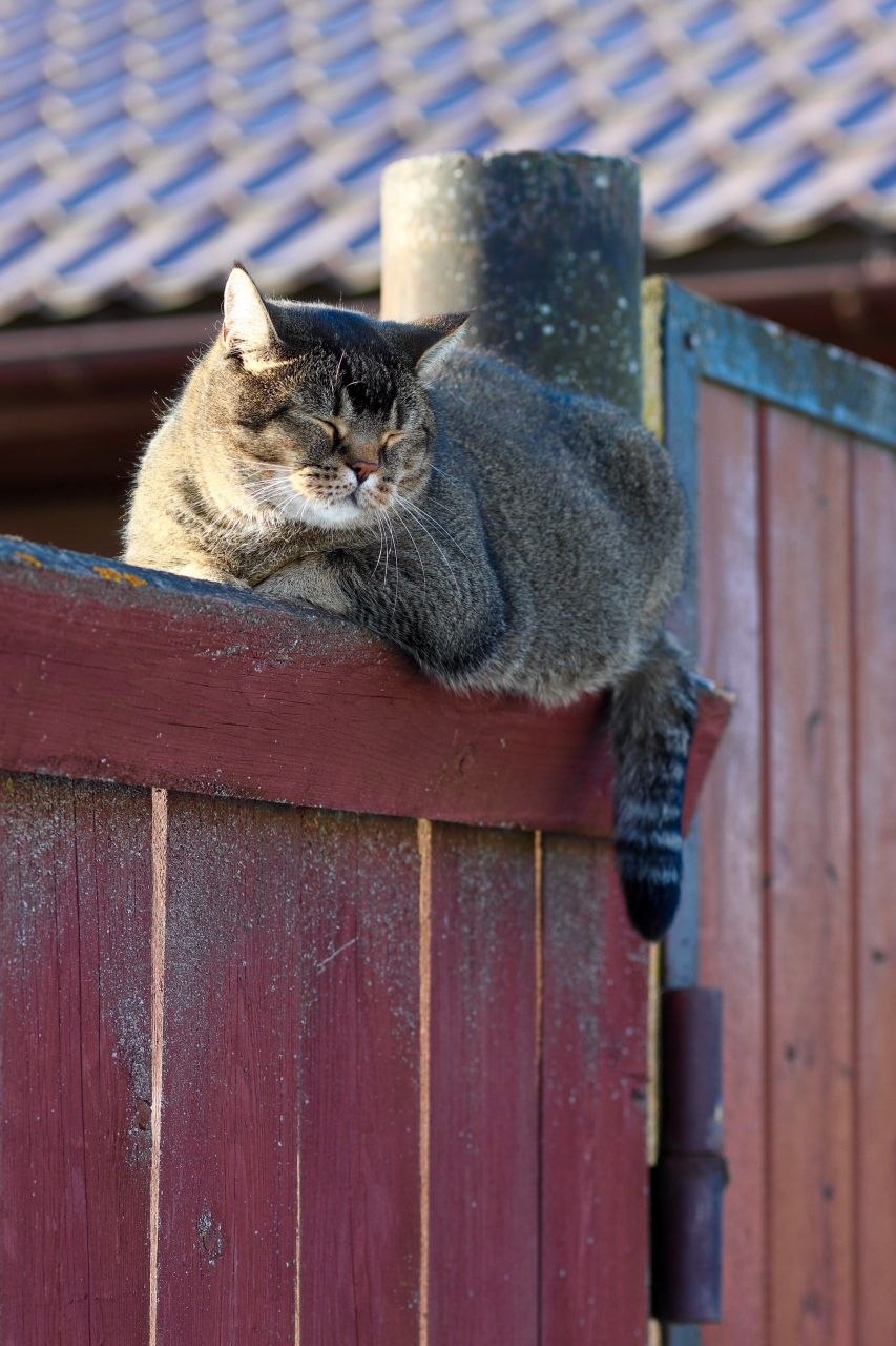 В субботу и воскресенье на улице будет +8...+12, солнечно
