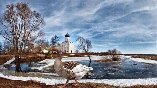 В воскресенье без осадков и до +13 °С