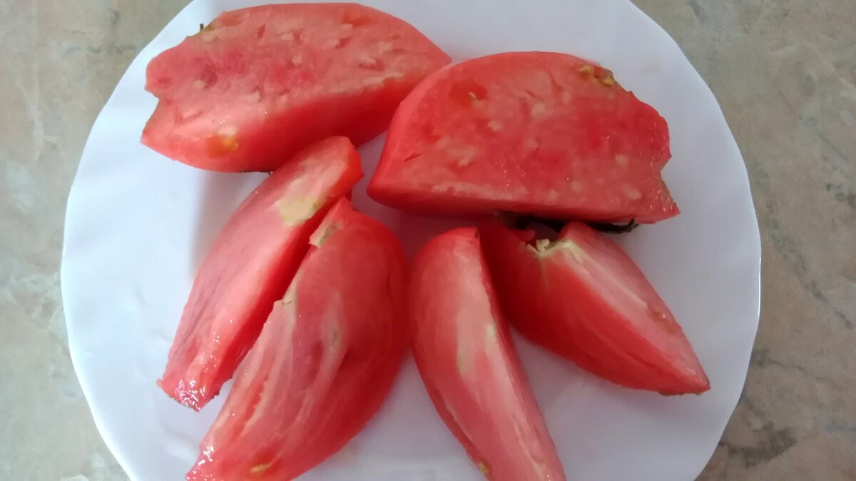 Вкусные томаты: Особенности и секреты любимых сортов