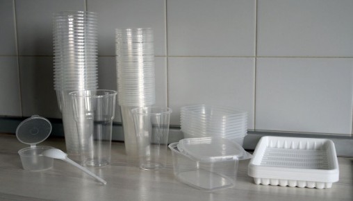 Одноразовая тара для рассады: как выбрать лучшее решение