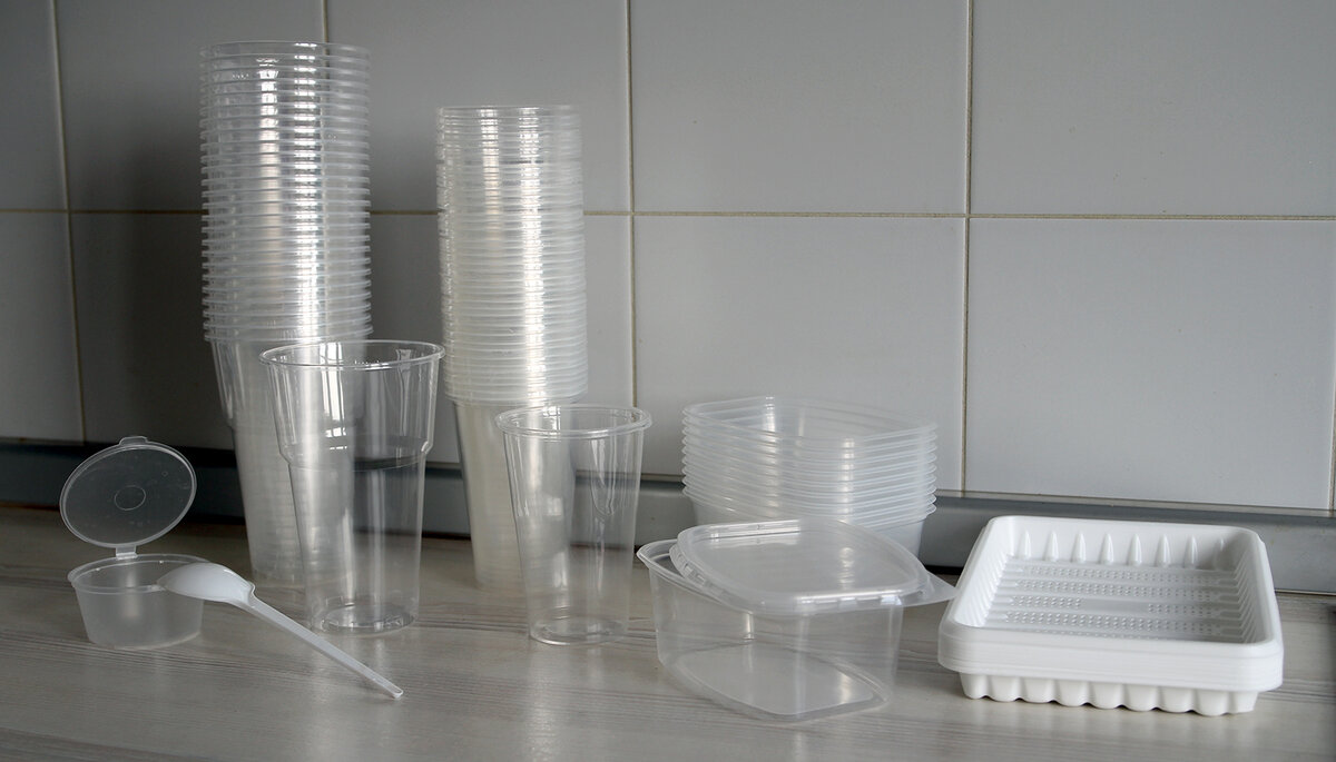 Одноразовая тара для рассады: как выбрать лучшее решение