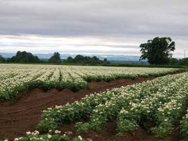 ��� ������ � �������� ���������: ������ ������ ��� ��������