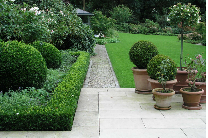 Как сделать сад роскошным: пять простых советов для преображения