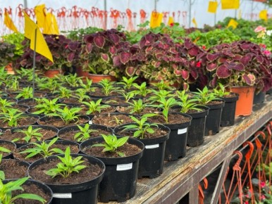 � ������������ ��������� �������� ���������� ��������� � ������� ��������