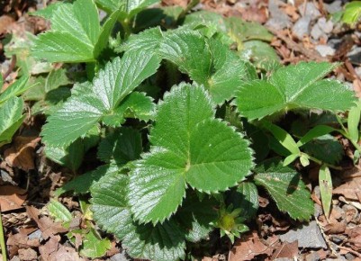 ����������� ������ ������ � ��������� �� ���������� ����������