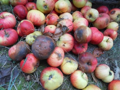 ��� ������������ ������ ������ ��� ��������� ��������� � ����������