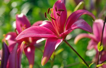 ��� ������� ������ �� ����� ��������: ������ �� �����