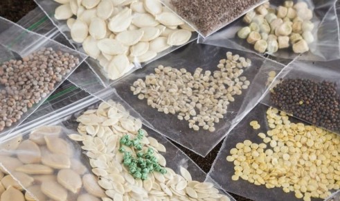 ����������� ����������� ��� �����: ��� �������� ������ ��� �����