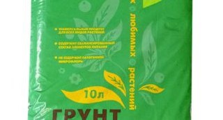 Секреты успешной пикировки сеянцев земляники: советы и техники