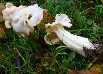 ����� � ����: ������ ������� ����� ��� �������� ����?