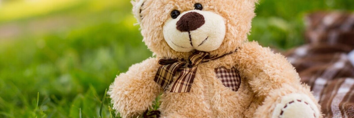 Забота о недееспособных: кто и как помогает