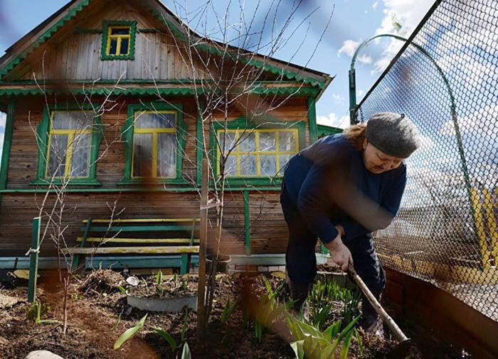 Как стать счастливым огородником: советы для новичков