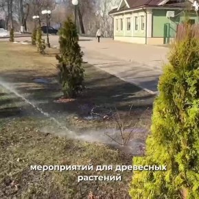 С приходом тепла в парках и скверах Владимира начинается большая уборка