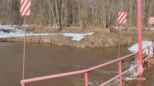 Половодье началось на реках Владимирской области