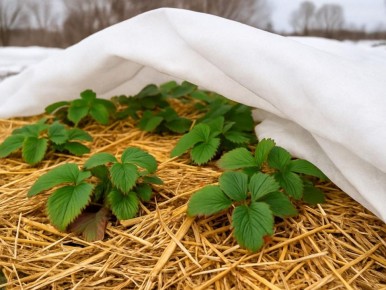 ��� ��������� ������ ��������� ����� �����: ������ ���������