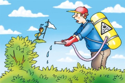 ��������� � �������� ���������: ���������� �� ��� �� ����� �������?