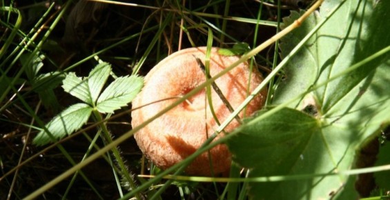 ����� ������� ������ ������ �������� � ������ �������� � ����