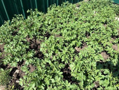 ����� �� ��������: ��� ��������� ������ ��� ������