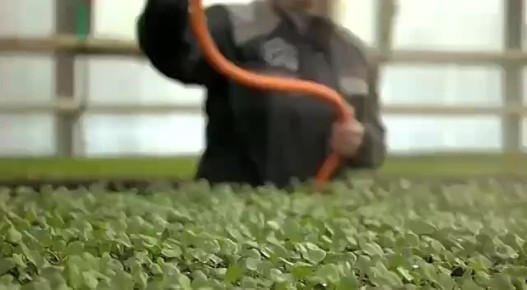 ������������ ������� � � ����� ������� ������!