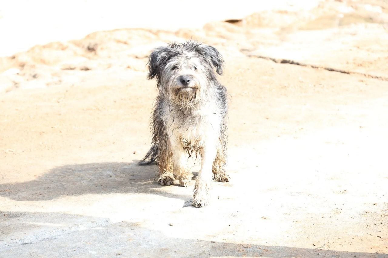 Точность, скорость, результат: на одном из полигонов Владимирской области прошло боевое слаживание подразделений войск БПС Точность, скорость, результат: на одном из полигонов Владимирской области прошло боевое слаживание подразделений войск БПС