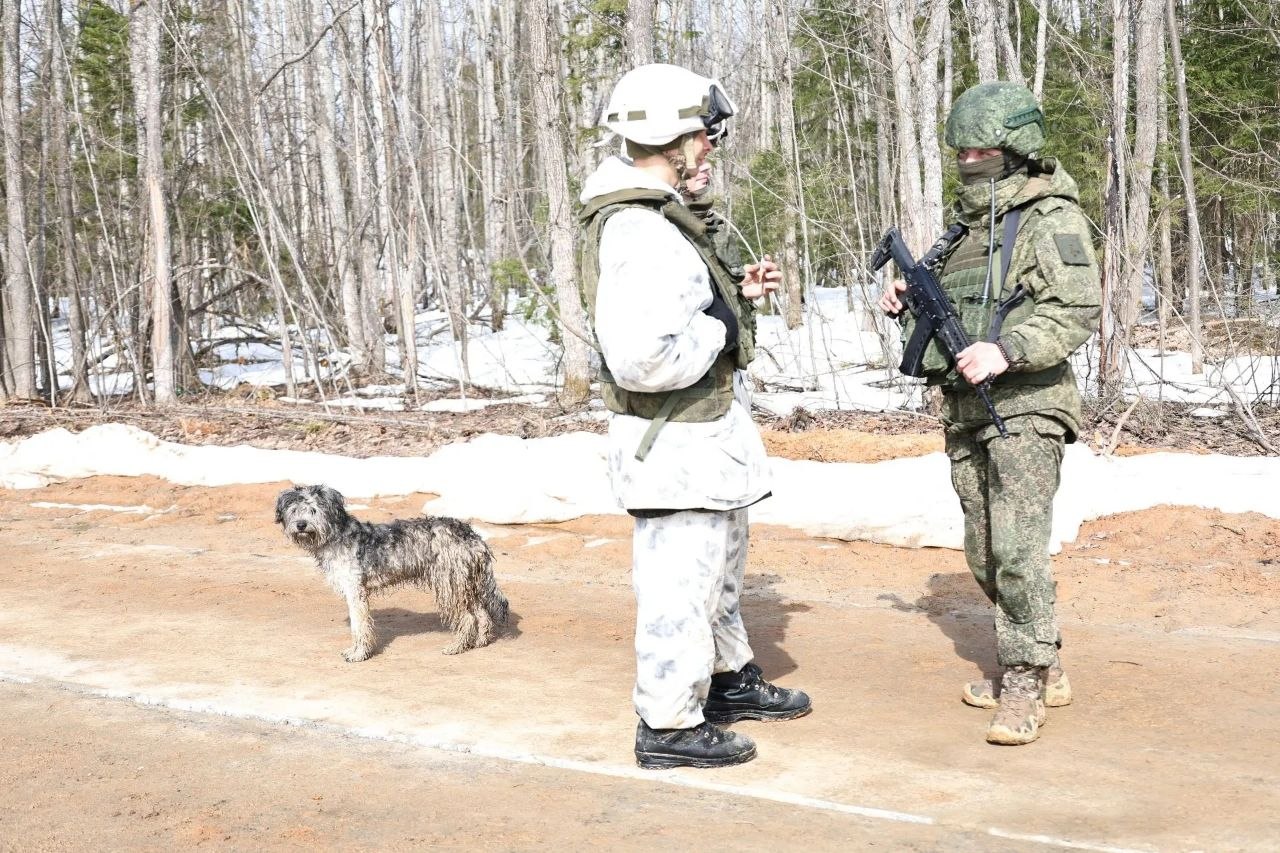 Точность, скорость, результат: на одном из полигонов Владимирской области прошло боевое слаживание подразделений войск БПС Точность, скорость, результат: на одном из полигонов Владимирской области прошло боевое слаживание подразделений войск БПС
