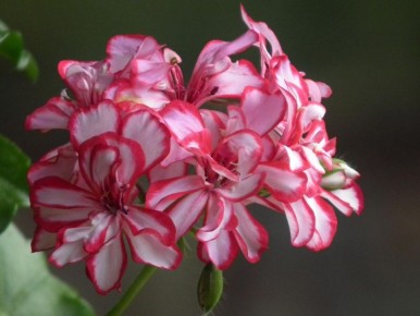 ������ ��� ����������: ��� ������� ��� ��������� ����?