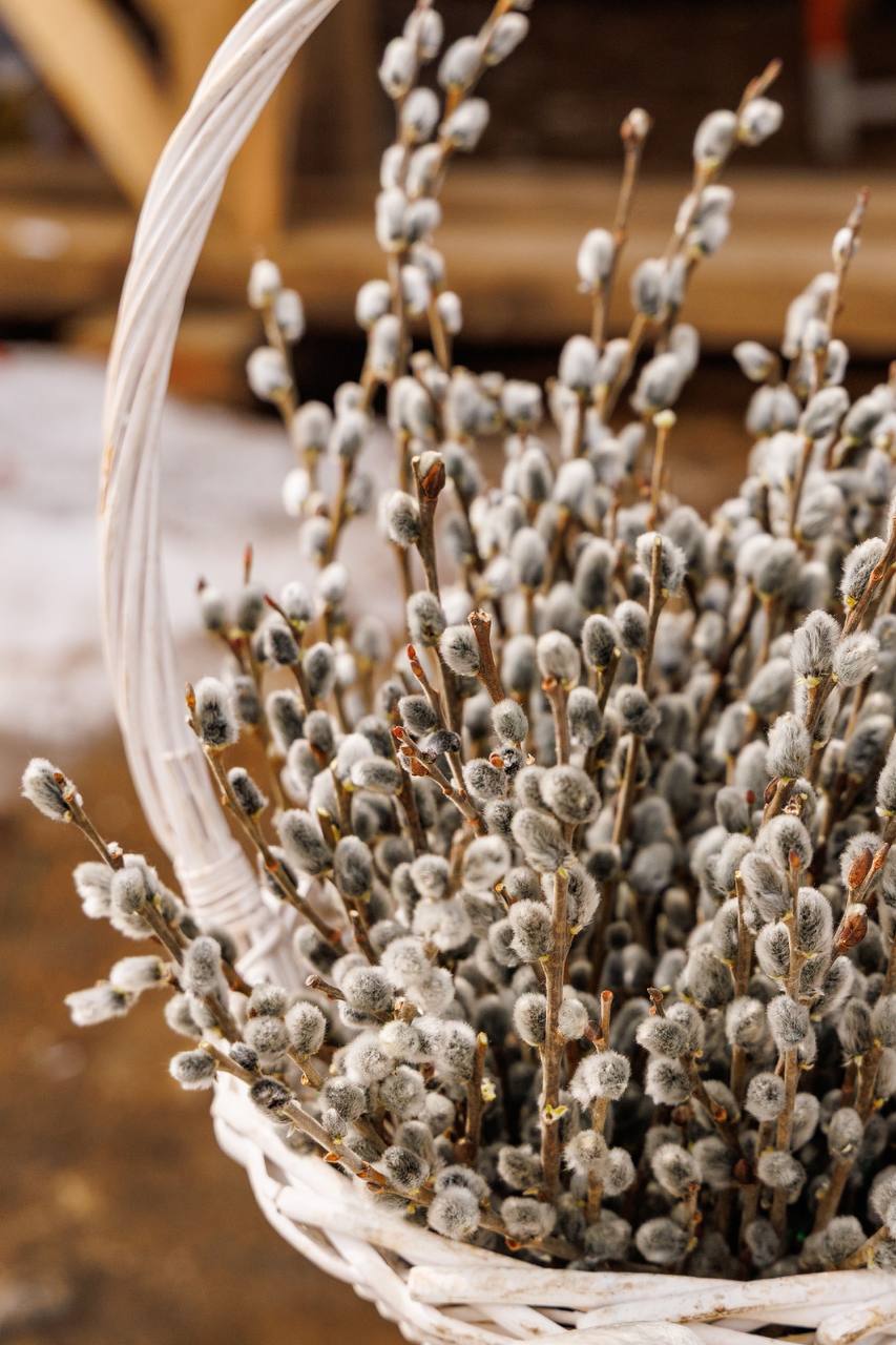 Доброго понедельника, уважаемые подписчики на этой неделе, которая завершится вербным воскресеньем, ожидается очень теплая весенняя погода! Доброго понедельника, уважаемые подписчики на этой неделе, которая завершится вербным воскресеньем, ожидается очень теплая весенняя погода!