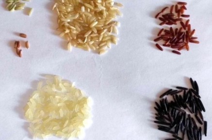 Как выбрать рис для здоровья и энергии