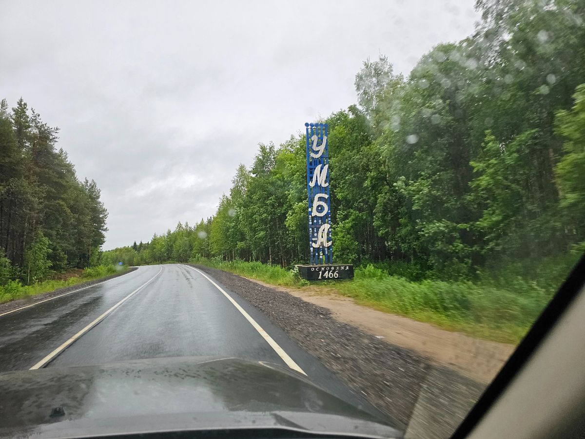 Приключения на Кольском полуострове: охота за горбушей и фиолетовый сюрприз