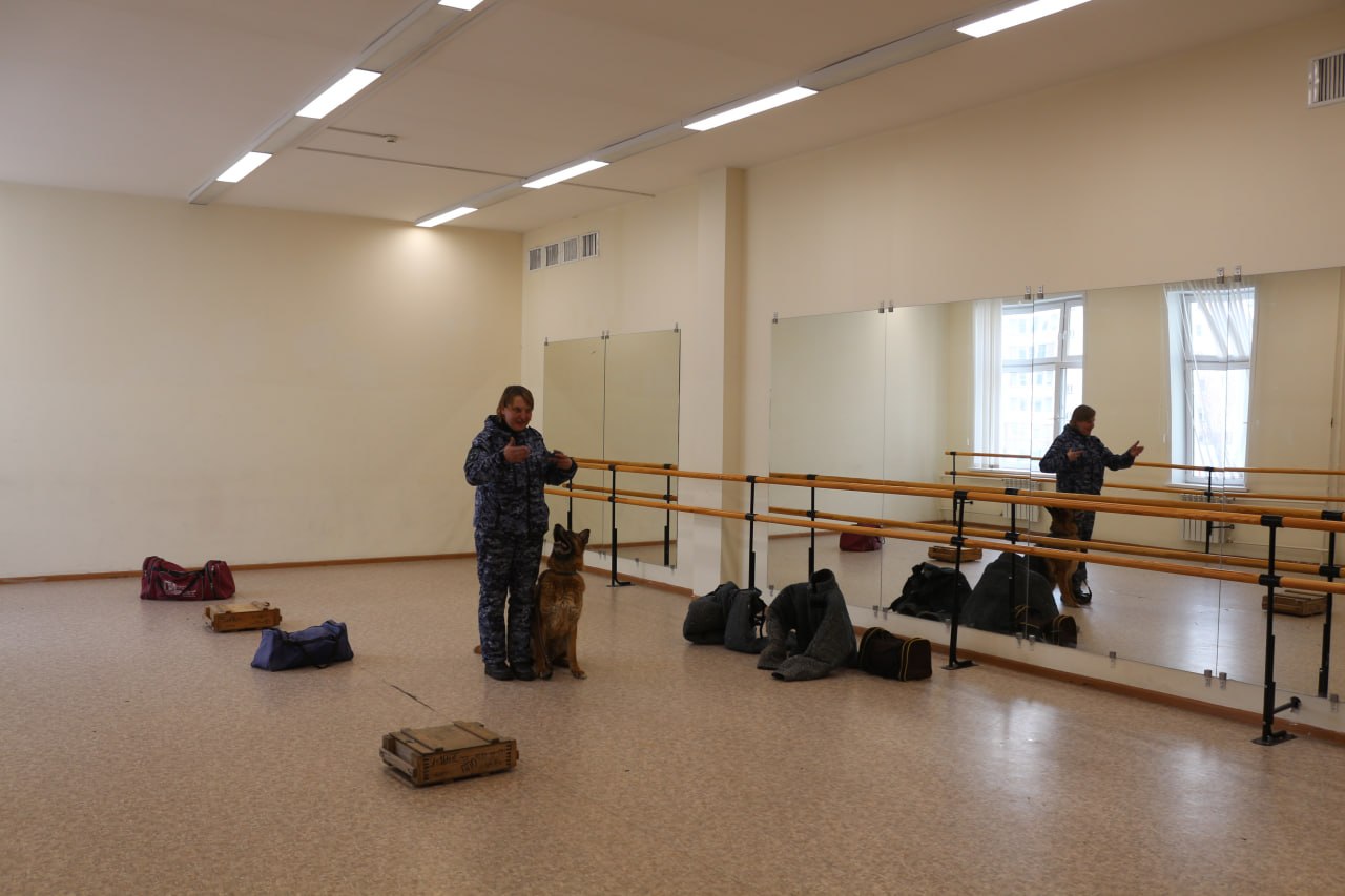 Прокуратура региона провела для подростков и их родителей интерактивное мероприятие «Будь на светлой стороне!» Прокуратура региона провела для подростков и их родителей интерактивное мероприятие «Будь на светлой стороне!»