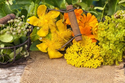 ������������� ��������, ������� ����� ����� �� ����