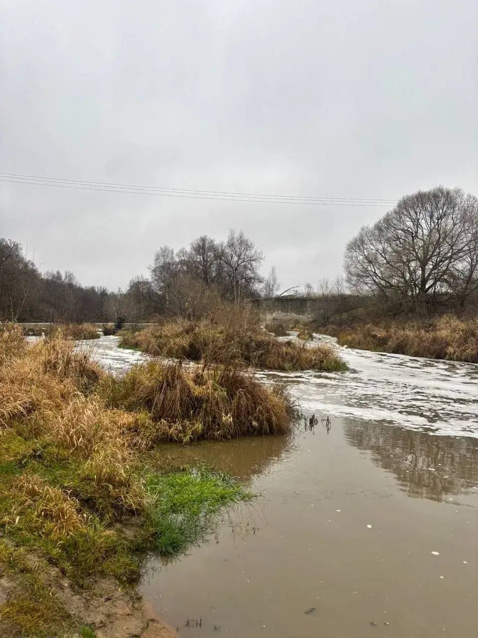 Следком завел уголовное дело на виновников в гибели рыбы из-за сброса навоза в реку Следком завел уголовное дело на виновников в гибели рыбы из-за сброса навоза в реку
