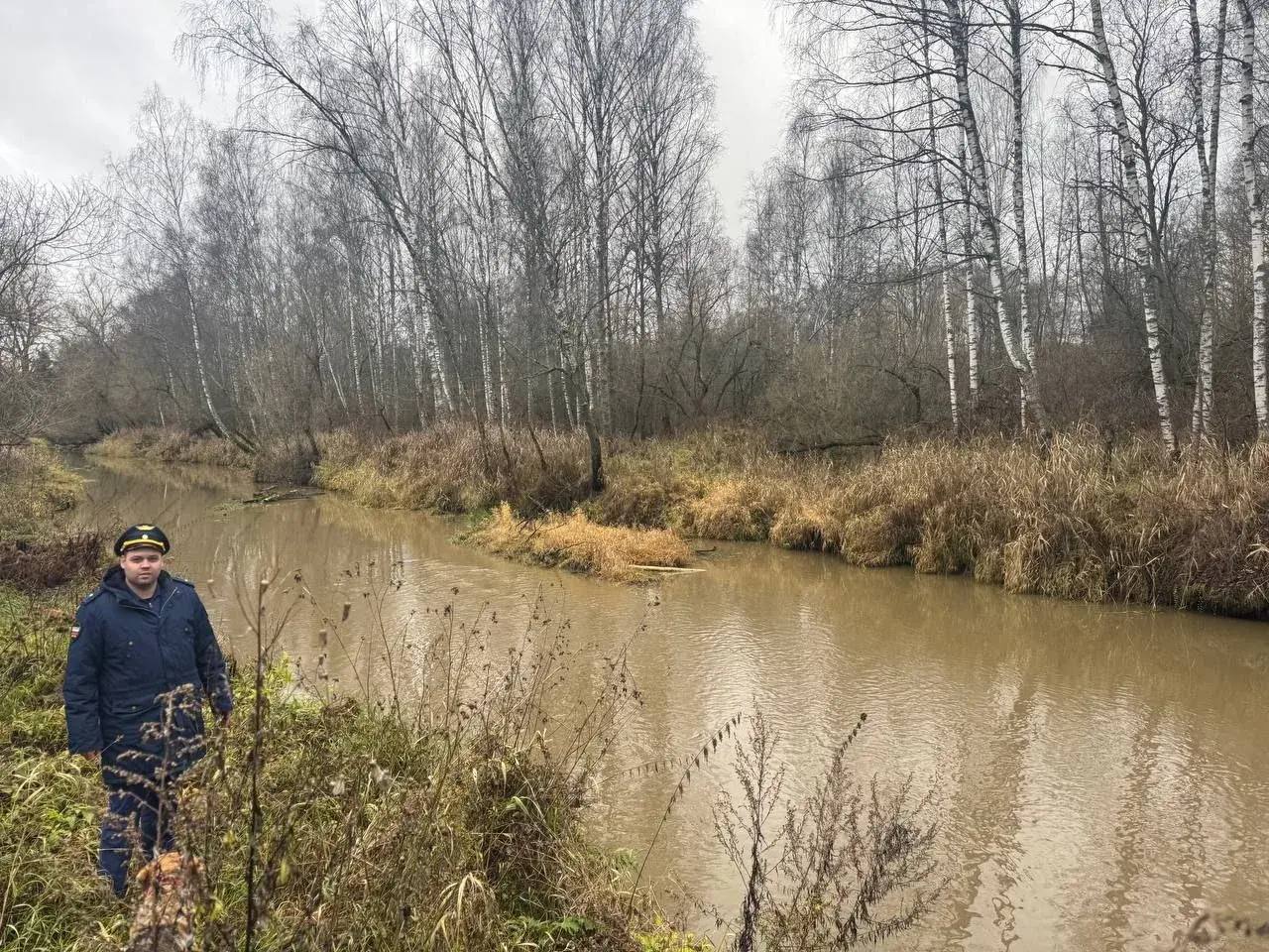 Следком завел уголовное дело на виновников в гибели рыбы из-за сброса навоза в реку Следком завел уголовное дело на виновников в гибели рыбы из-за сброса навоза в реку