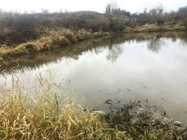 ���������� ��������� ���� �� ����� ����������� ���� �����, ���������� �������� ������ ����