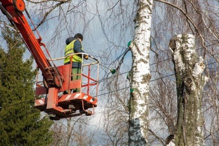 ��������� ������: � 1 ������ ��������� ��������� �������� ���������������