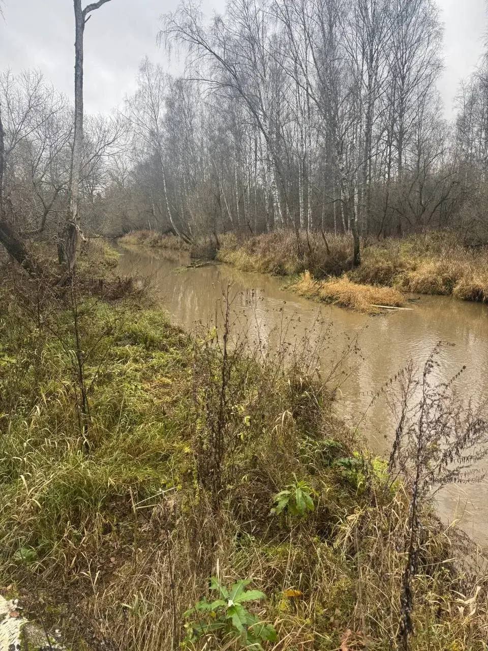 Следком завел уголовное дело на виновников в гибели рыбы из-за сброса навоза в реку Следком завел уголовное дело на виновников в гибели рыбы из-за сброса навоза в реку