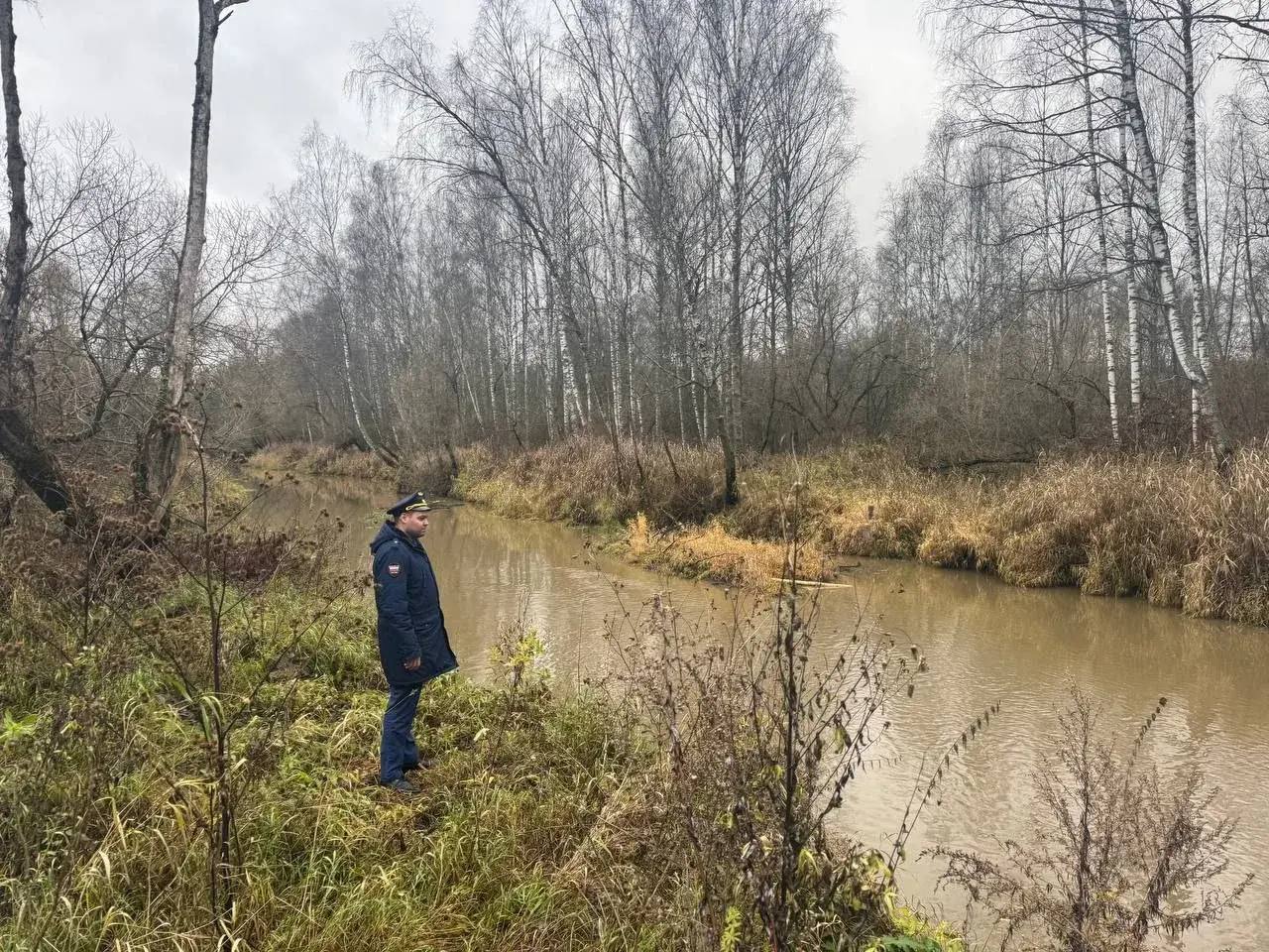 Следком завел уголовное дело на виновников в гибели рыбы из-за сброса навоза в реку Следком завел уголовное дело на виновников в гибели рыбы из-за сброса навоза в реку