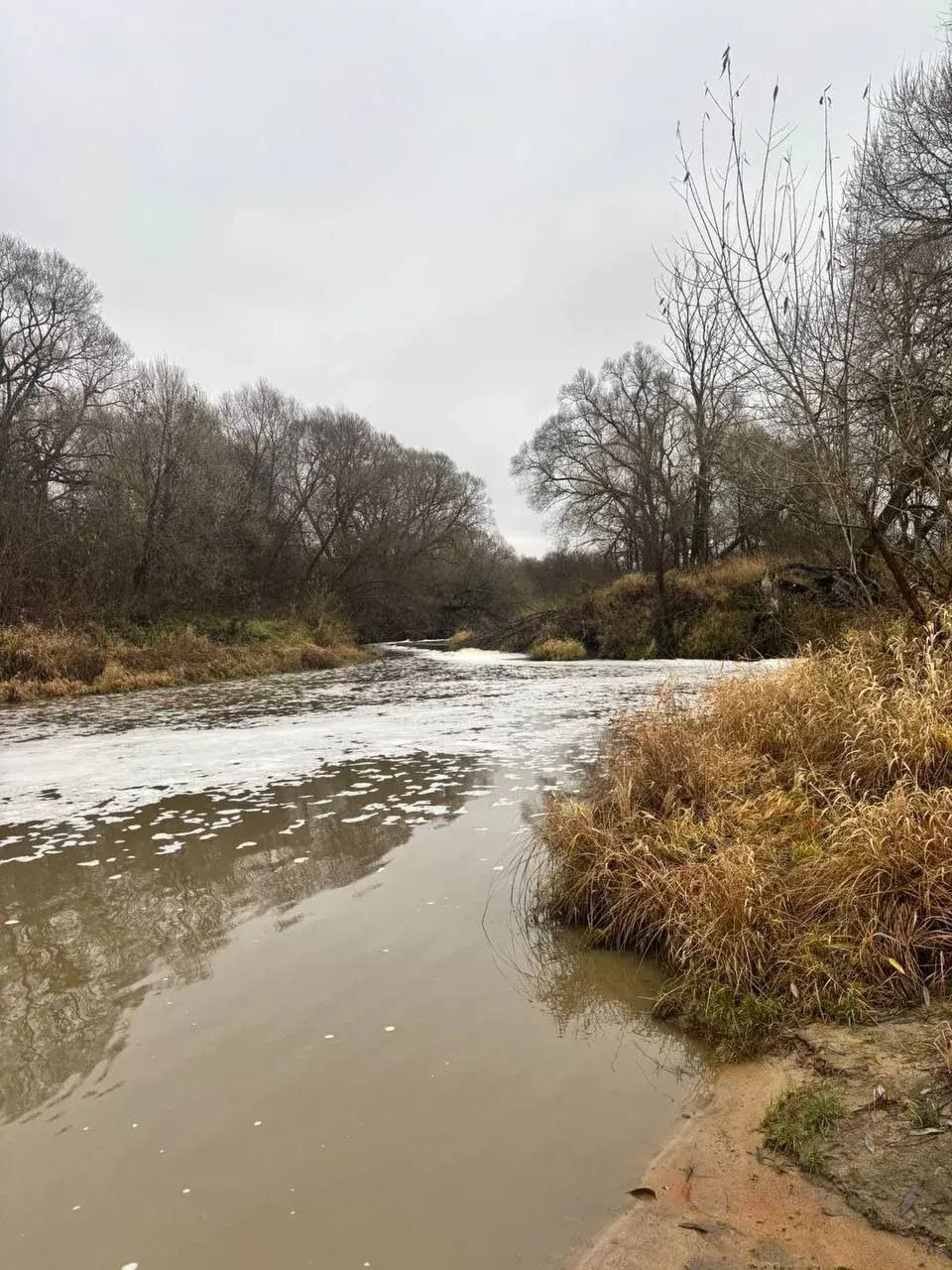 Следком завел уголовное дело на виновников в гибели рыбы из-за сброса навоза в реку