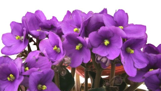 ��� ��������� ������ ���������: ��� �������� ������ ������