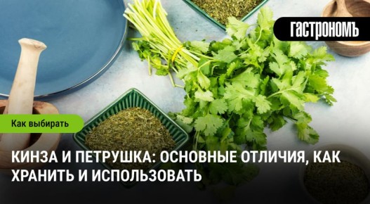 ����� � ��������: ��� ��������� � ������� ���������� �����