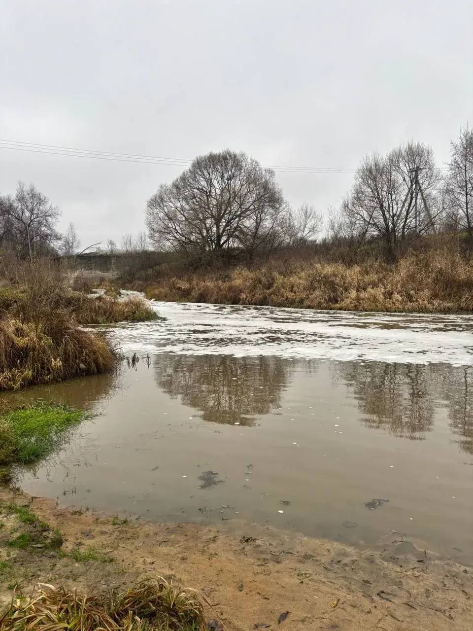 Следком завел уголовное дело на виновников в гибели рыбы из-за сброса навоза в реку Следком завел уголовное дело на виновников в гибели рыбы из-за сброса навоза в реку