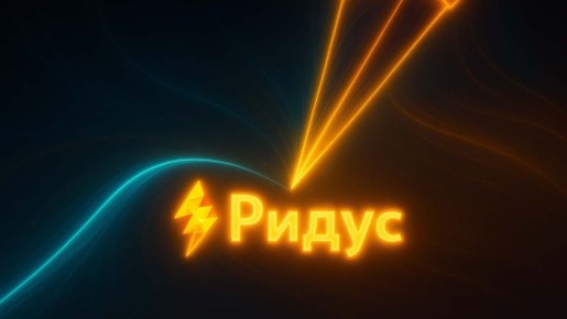 Правила проверки мобильных телефонов: Клишас о правах силовиков