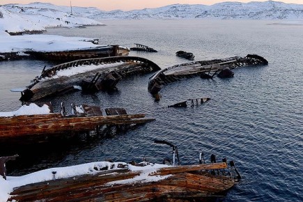 Териберка: волшебный мир дикой природы и неожиданные встречи
