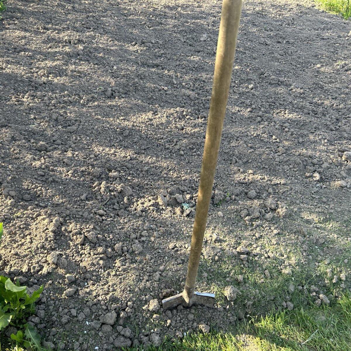 Осенняя перекопка: необходимость или миф?