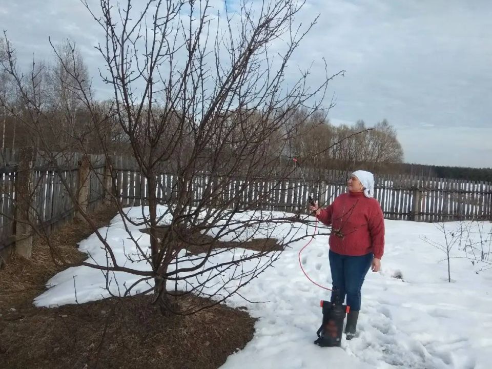 ������������ �������� ����������, ��� ���������� ��� ������ ������