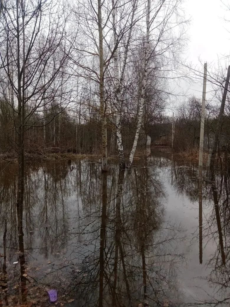 Началось подтопление участков СНТ «Связист» во Владимире Началось подтопление участков СНТ «Связист» во Владимире