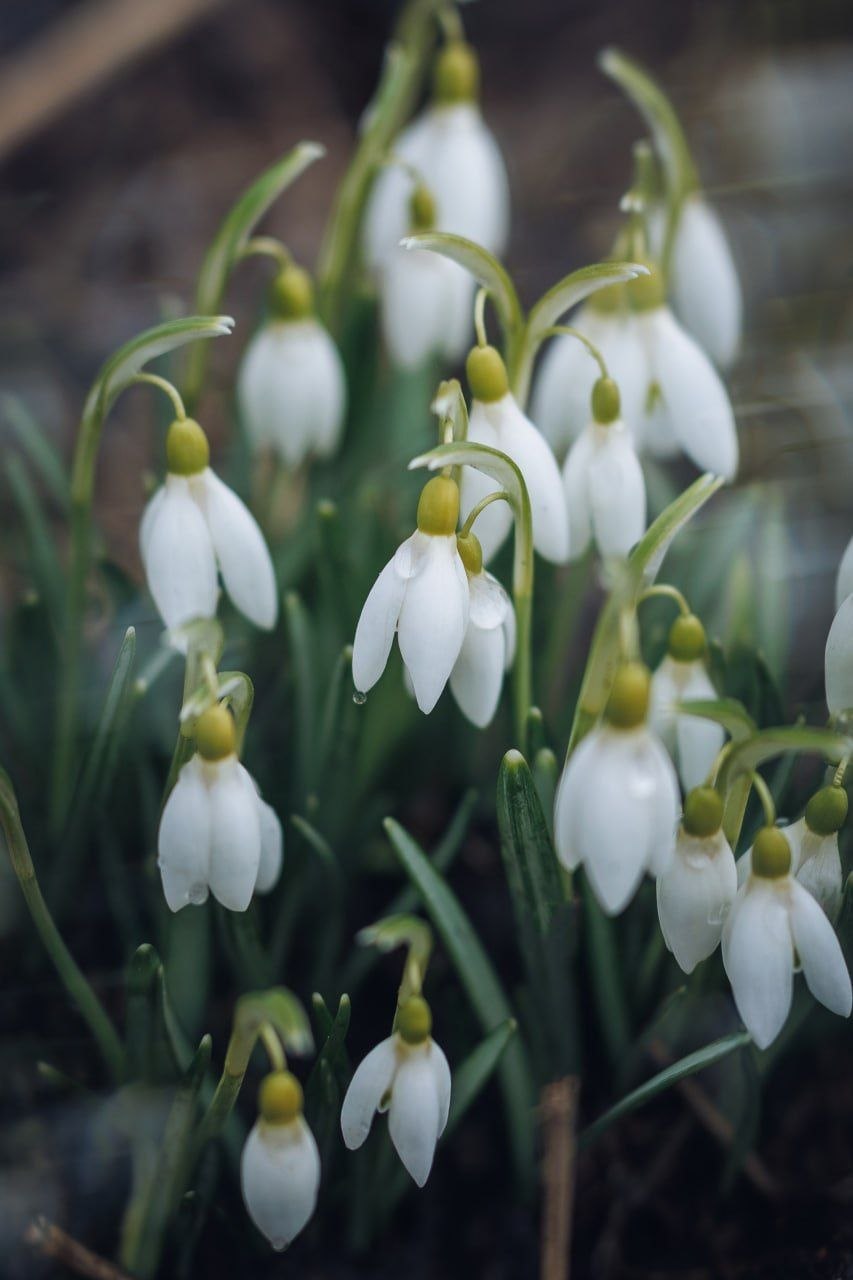 Доброе утро!. Коротко о погоде: неделя будет холодной и дождливой, возможен даже снег Доброе утро!. Коротко о погоде: неделя будет холодной и дождливой, возможен даже снег