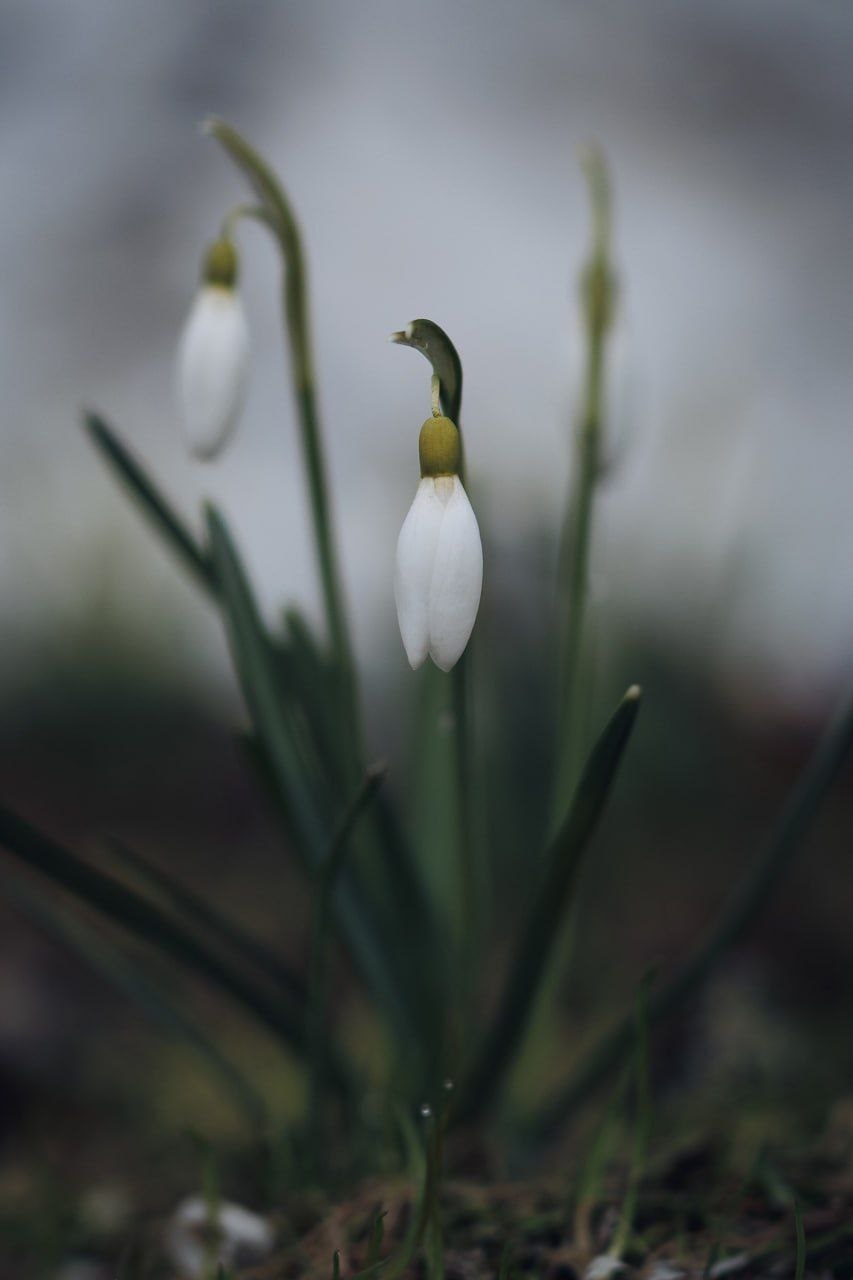 Доброе утро!. Коротко о погоде: неделя будет холодной и дождливой, возможен даже снег Доброе утро!. Коротко о погоде: неделя будет холодной и дождливой, возможен даже снег