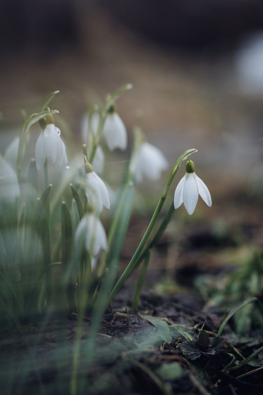 Доброе утро!. Коротко о погоде: неделя будет холодной и дождливой, возможен даже снег Доброе утро!. Коротко о погоде: неделя будет холодной и дождливой, возможен даже снег